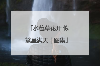 水蕴草花开 似繁星满天｜图集